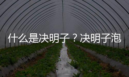 什么是决明子？决明子泡水喝的功效