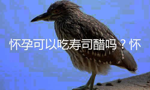 怀孕可以吃寿司醋吗？怀孕吃什么比较好