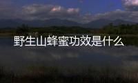 野生山蜂蜜功效是什么